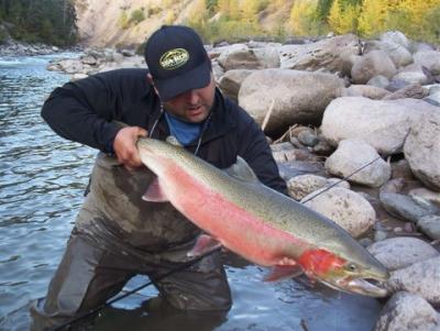 The photo of the week shows my good friend Rob Vodola with a beautiful buck Steelhead caught on the Copper (Zymoetz) River.  Guiding is very limited on this river so book your preferred fall 2008 lodge week soon.